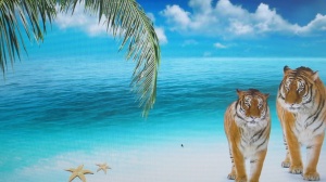 LA SONRISA TELEFÓNICA